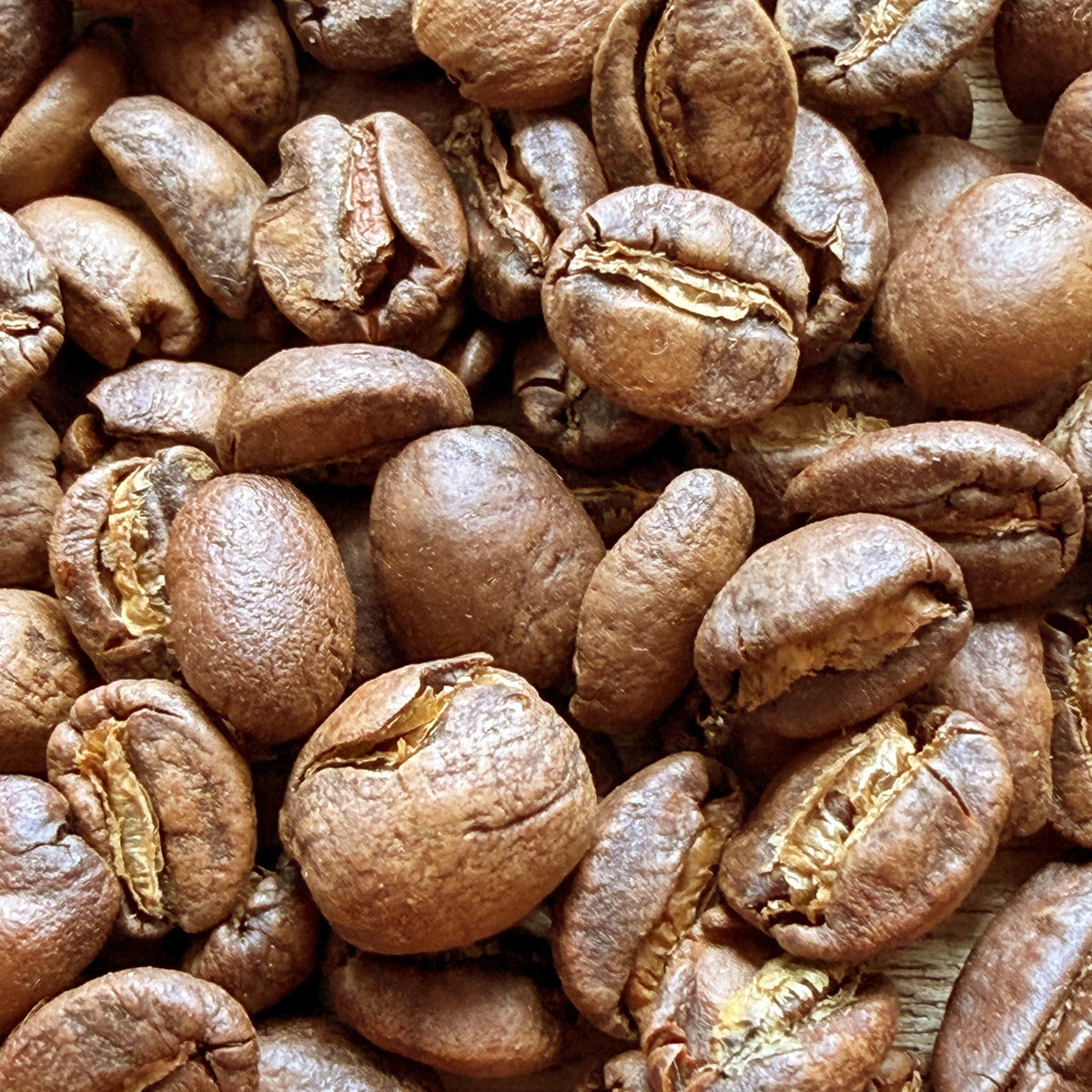 Specialty Light roast coffee beans — close-up of the roasted beans