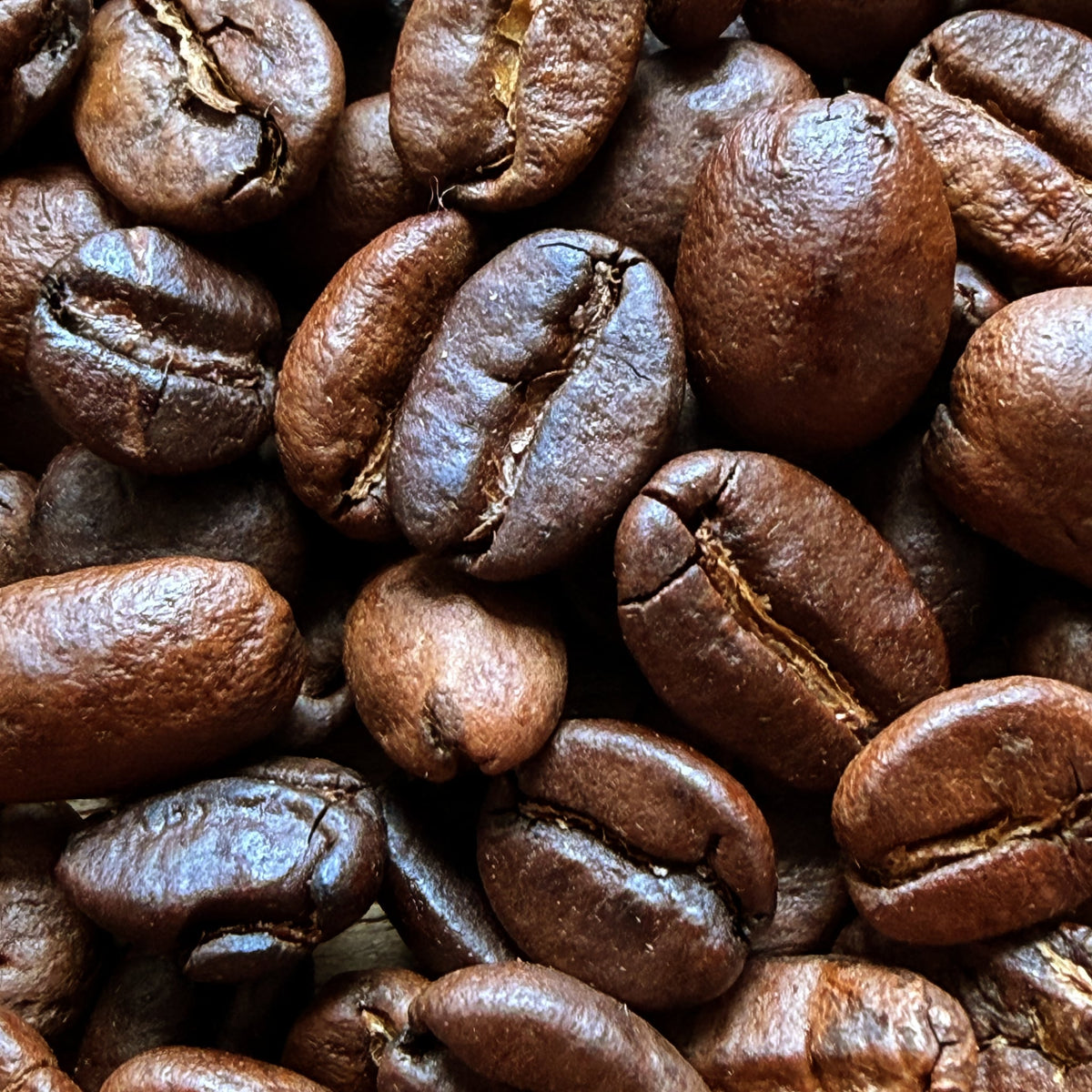 Specialty Medium roast coffee beans — close-up of the roasted beans