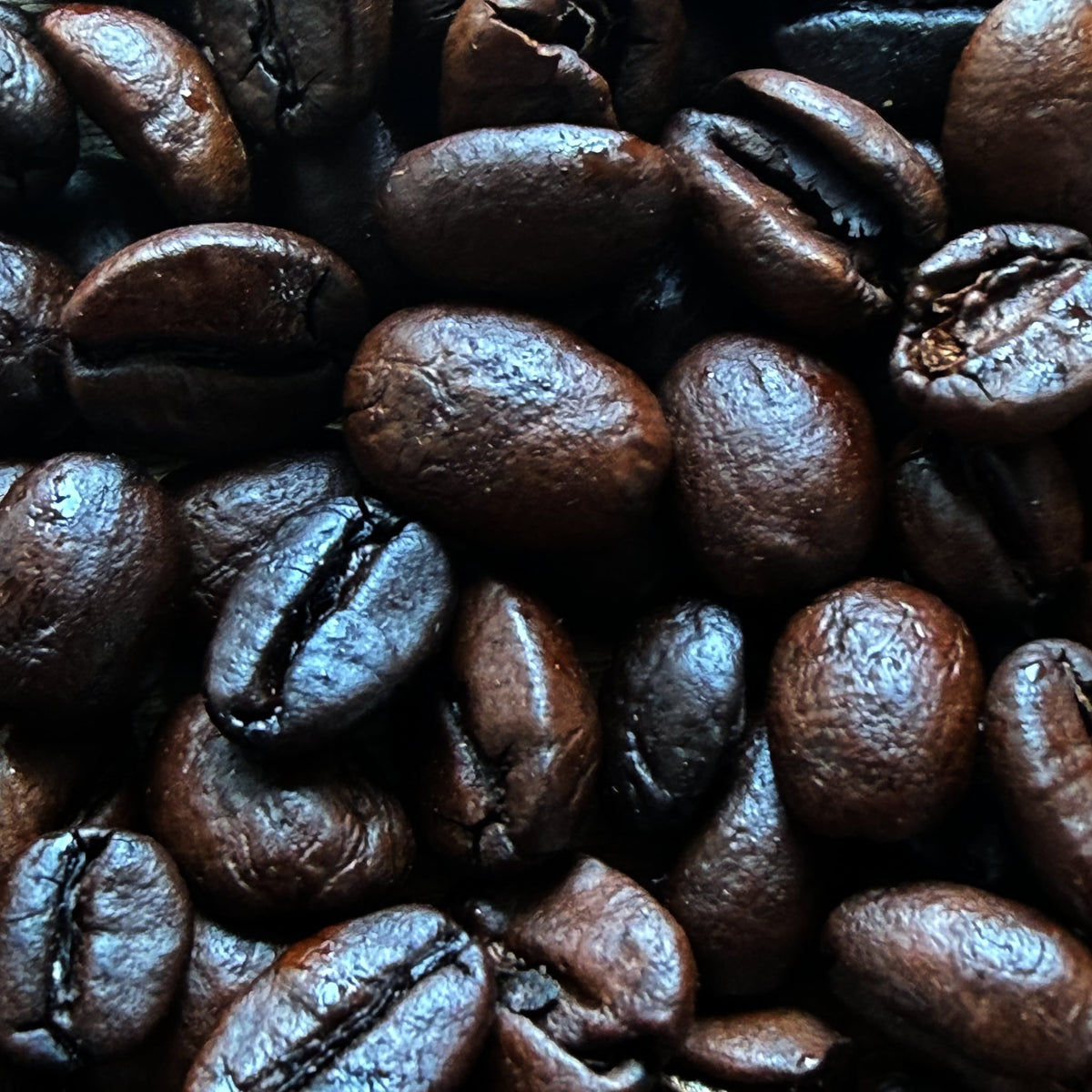 House Dark roast coffee beans — close-up of the roasted beans