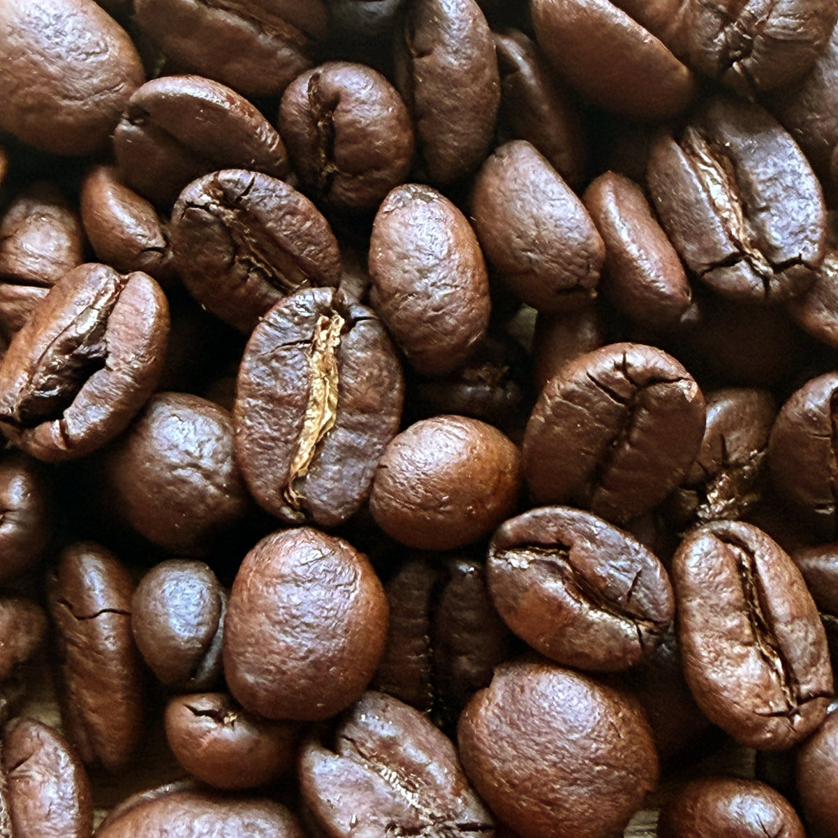 House Medium roast coffee beans — close-up of the roasted beans