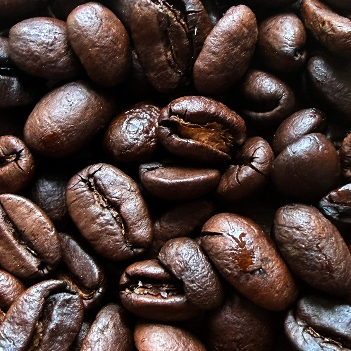 House Medium Dark roast coffee beans — close-up of the roasted beans