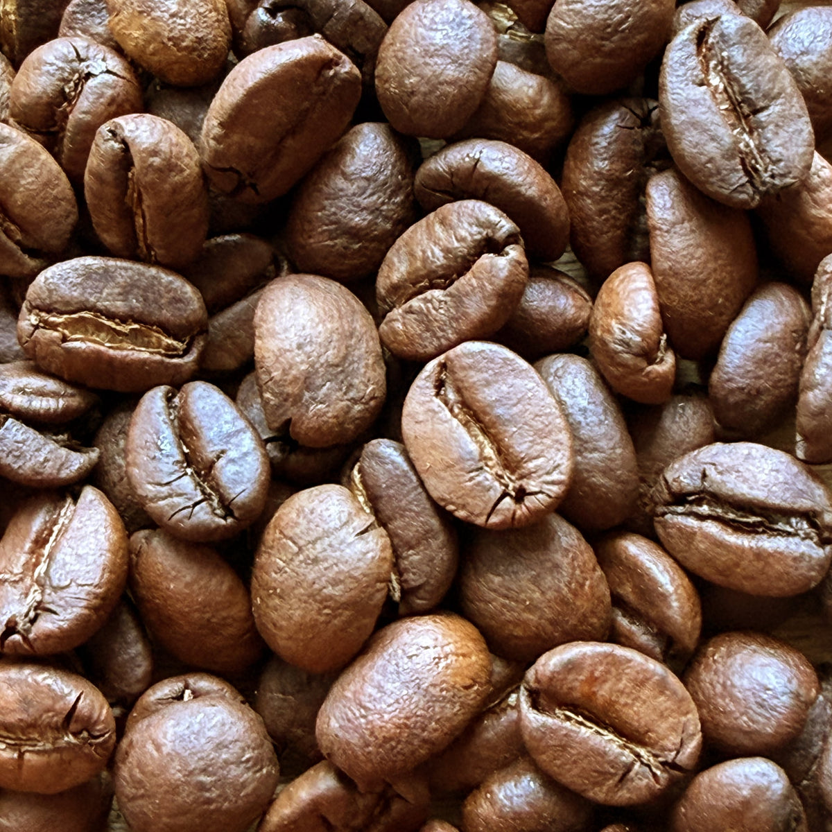 House Medium Light roast coffee beans — close-up of the roasted beans